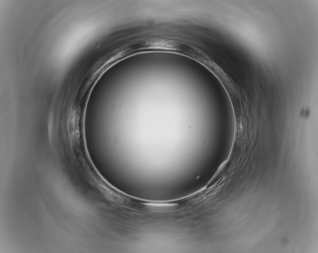 X0000091301487200708101257