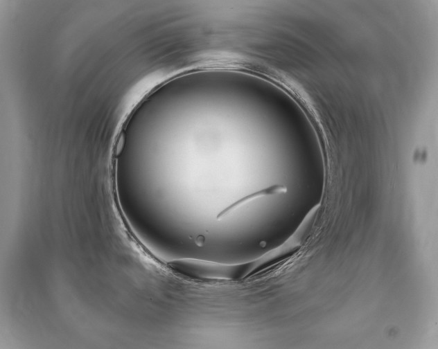 X0000091301488200708101257