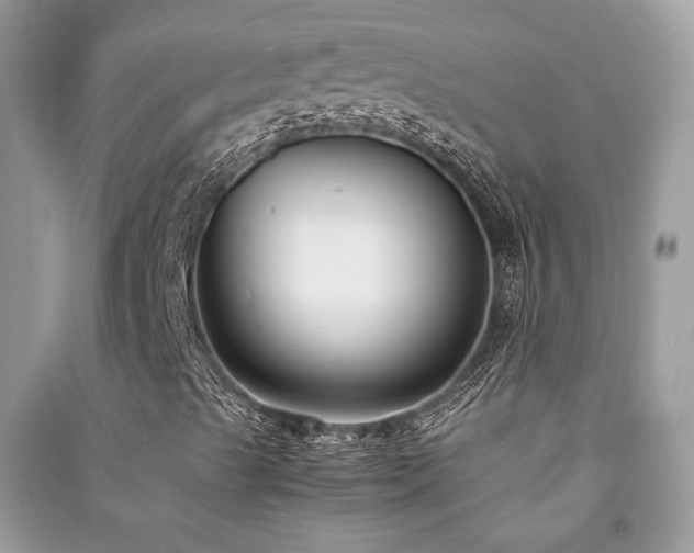 X0000091301489200708101256
