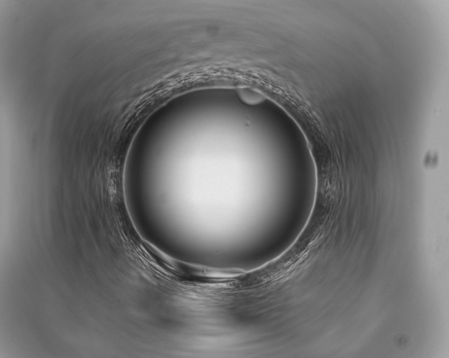 X0000091301490200708101256