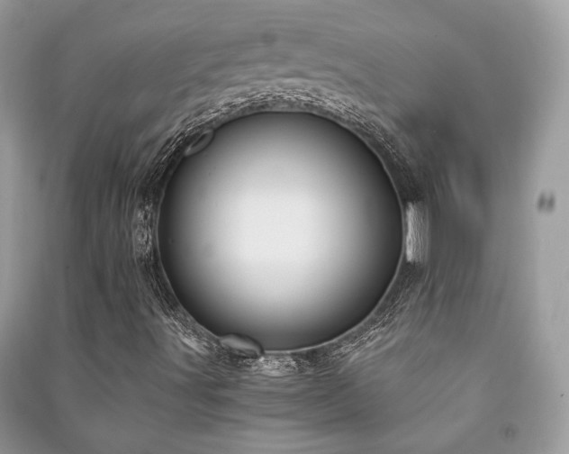 X0000091301491200708101256