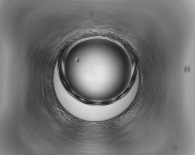 X0000091301492200708101256