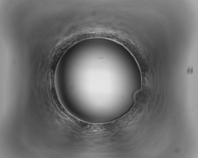 X0000091301493200708101256