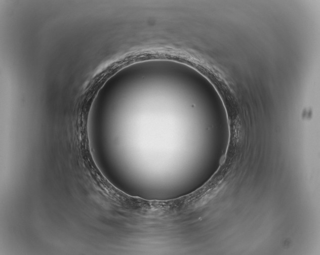 X0000091301494200708101256