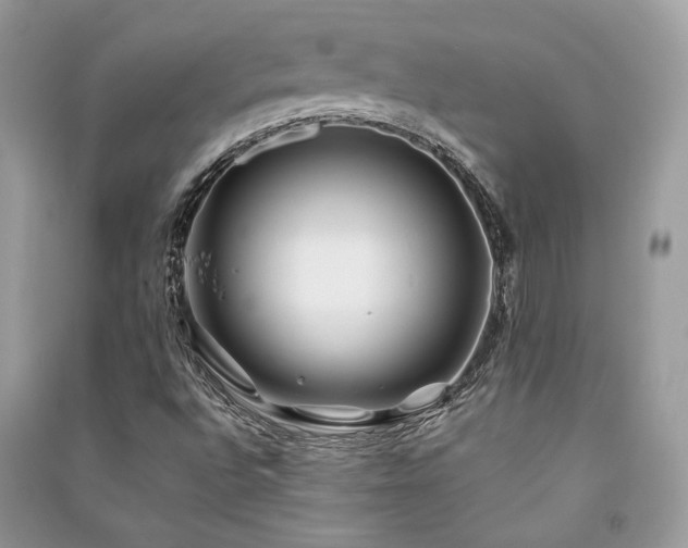 X0000091301496200708101256
