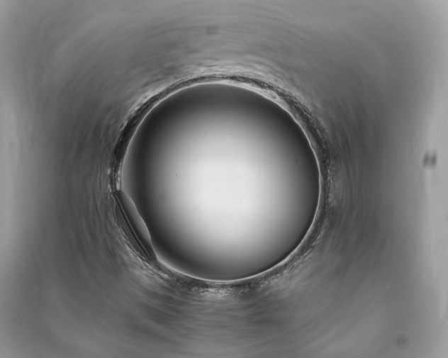 X0000091301497200708101256