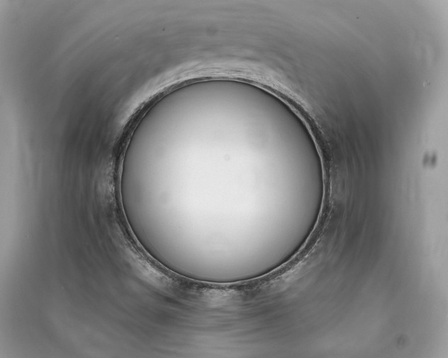 X0000091301498200708101256