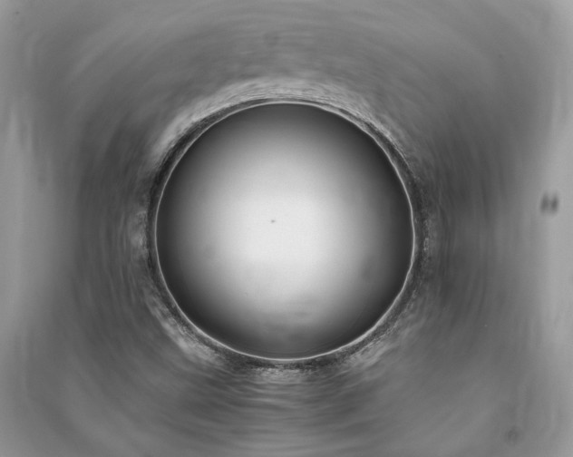 X0000091301499200708101256