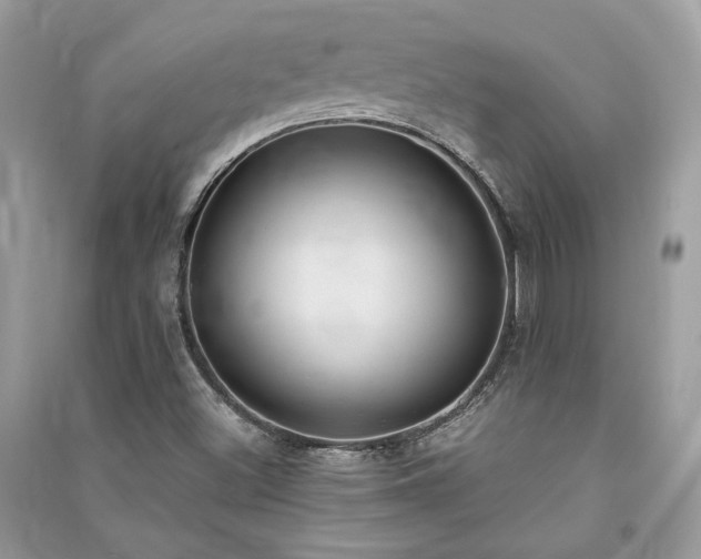 X0000091301500200708101256