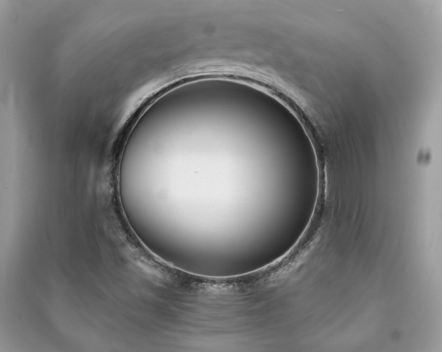 X0000091301501200708101256