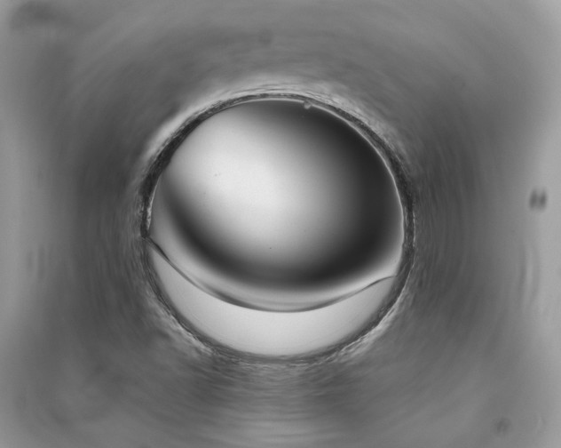 X0000091301502200708101256