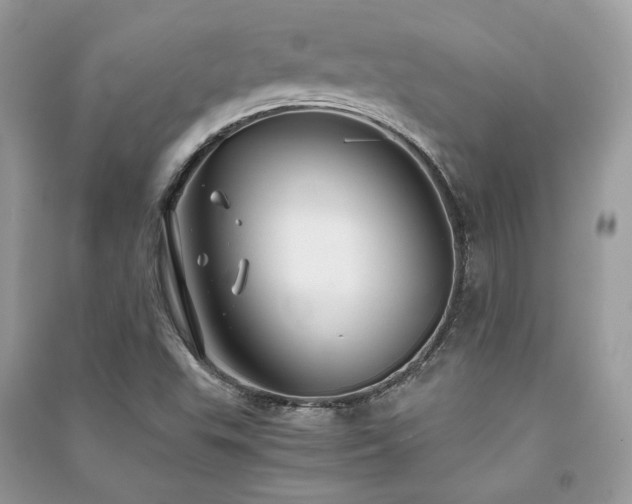 X0000091301503200708101256