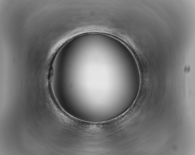 X0000091301504200708101257