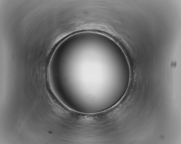 X0000091301505200708101257