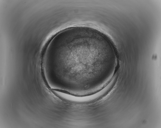 X0000091301506200708101257