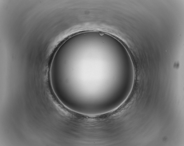 X0000091301507200708101257