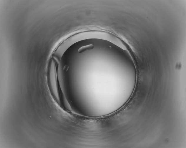 X0000091301508200708101257