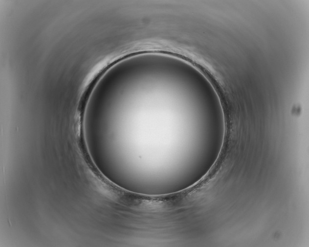 X0000091301509200708101257