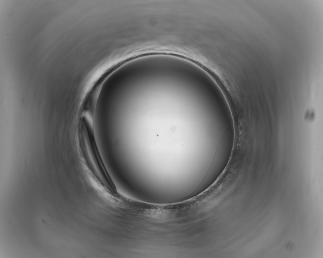 X0000091301511200708101257