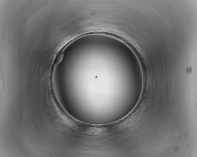 X0000091301513200708101257