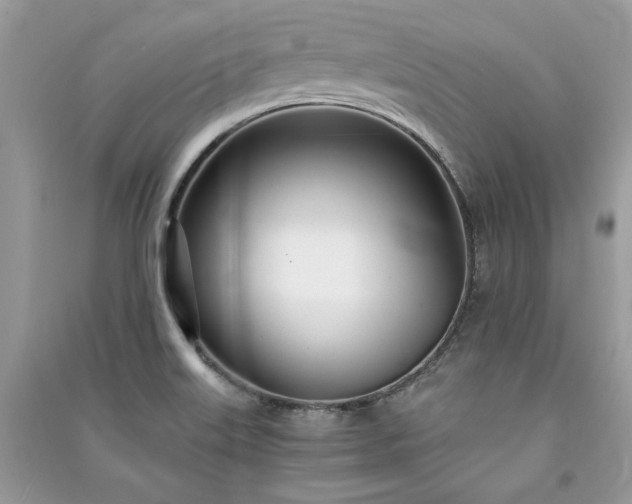 X0000091301515200708101257