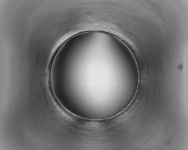 X0000091301517200708101257
