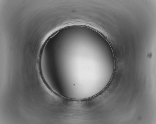 X0000091301518200708101257