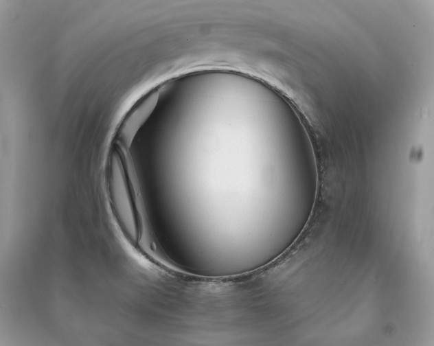 X0000091301519200708101257