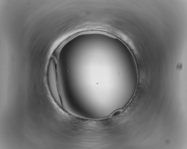 X0000091301520200708101257