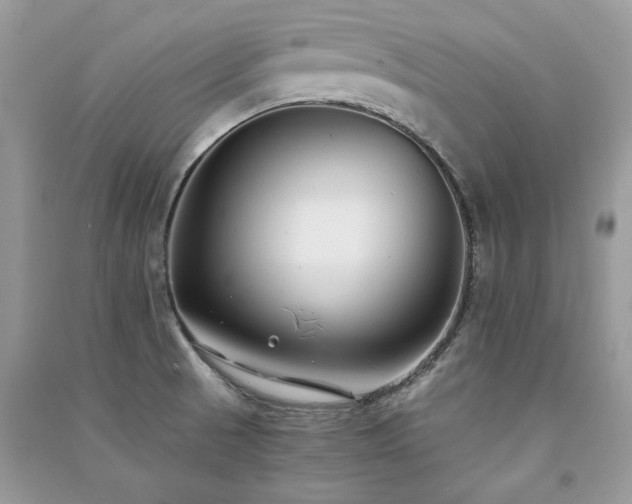 X0000091301521200708101257