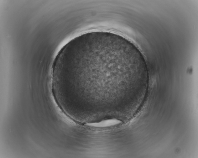 X0000091301522200708101257