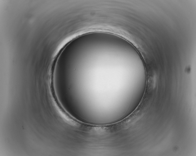 X0000091301523200708101257