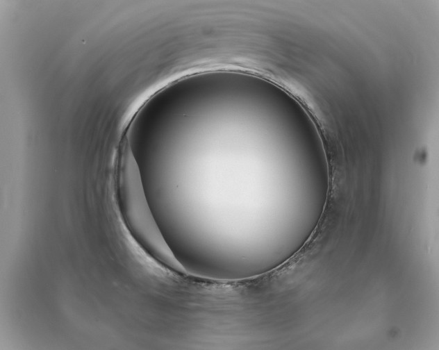 X0000091301524200708101257