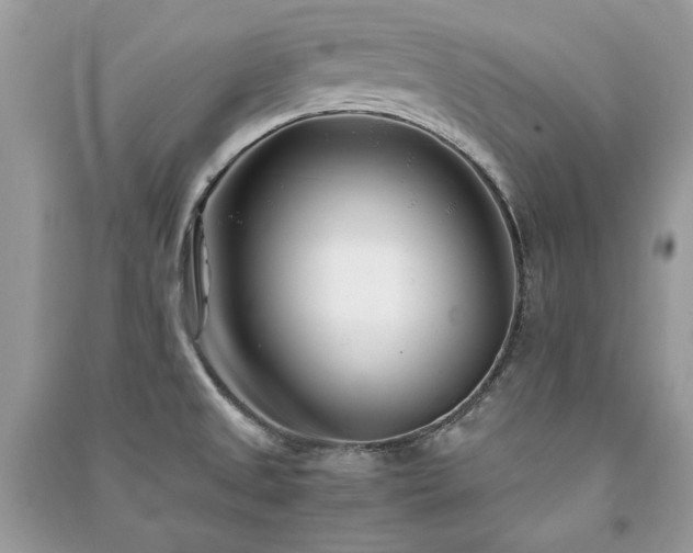 X0000091301525200708101257