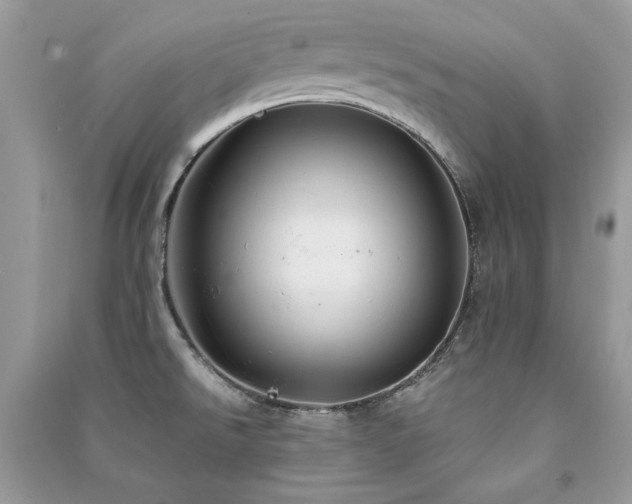 X0000091301526200708101257