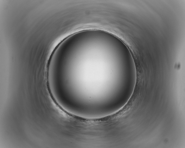 X0000091301527200708101257