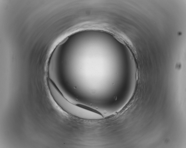 X0000091301528200708101257