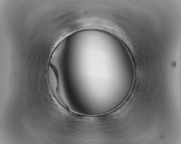 X0000091301529200708101257
