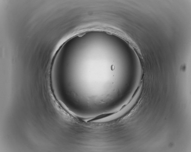X0000091301530200708101257