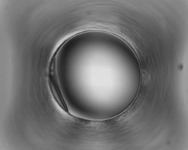 X0000091301531200708101257