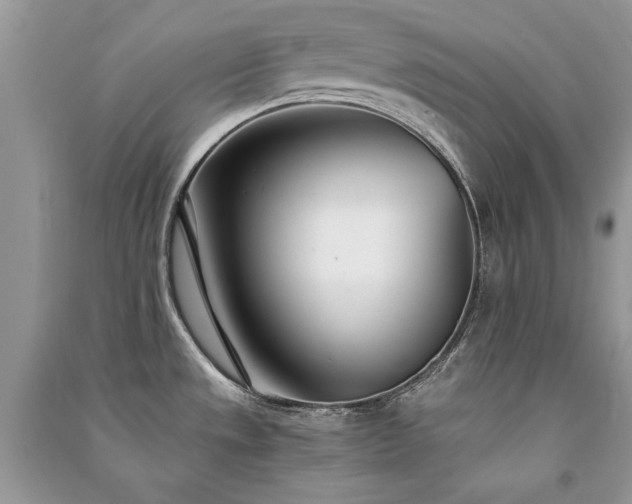 X0000091301533200708101257