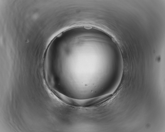 X0000091301534200708101257