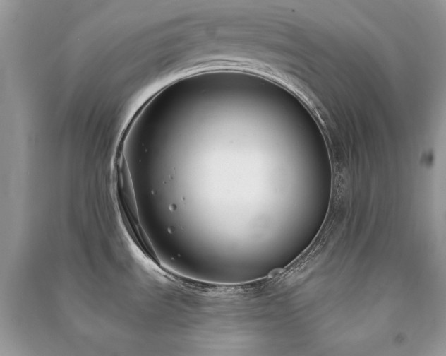 X0000091301535200708101257