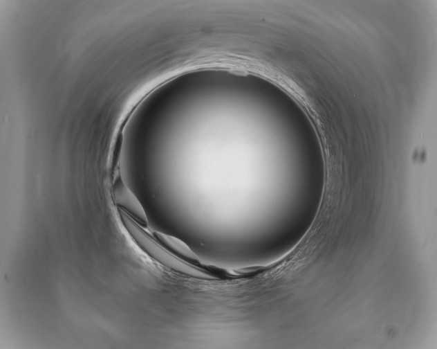 X0000091301536200708101257