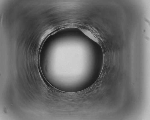 X0000091300003200708171402