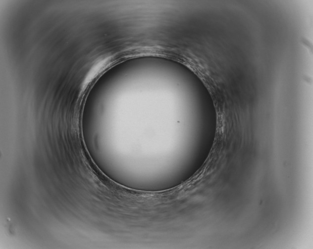 X0000091300004200708171402