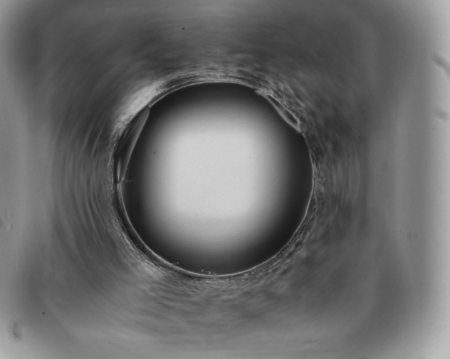 X0000091300005200708171402