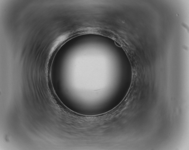 X0000091300006200708171402