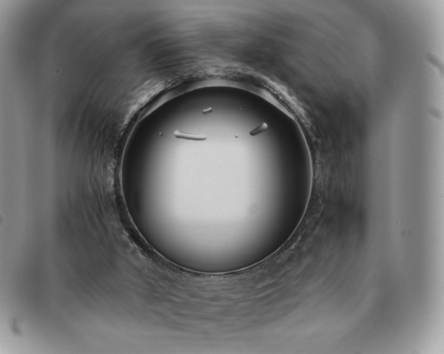 X0000091300010200708171402