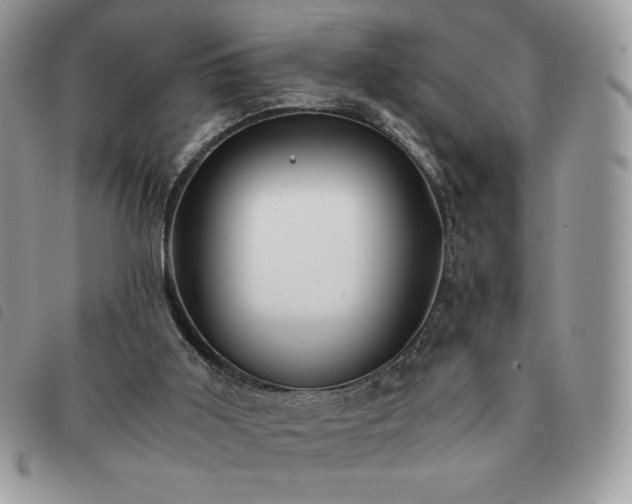 X0000091300011200708171402